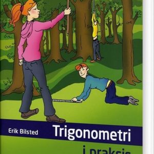 Trigonometri I Praksis - Erik Bilsted - Bog